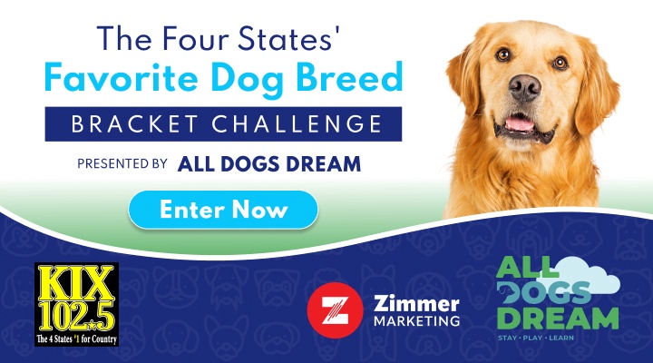 Four States' Favorite Dog Breed