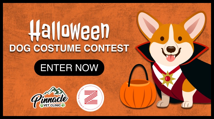 Halloween Dog Costume Contest - KJMK