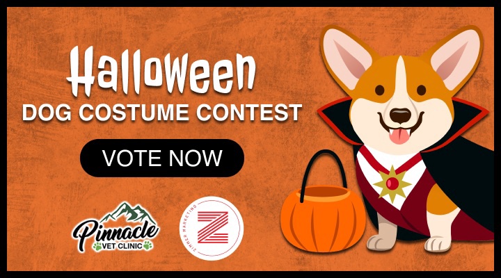 Halloween Dog Contest - Vote - KZYM