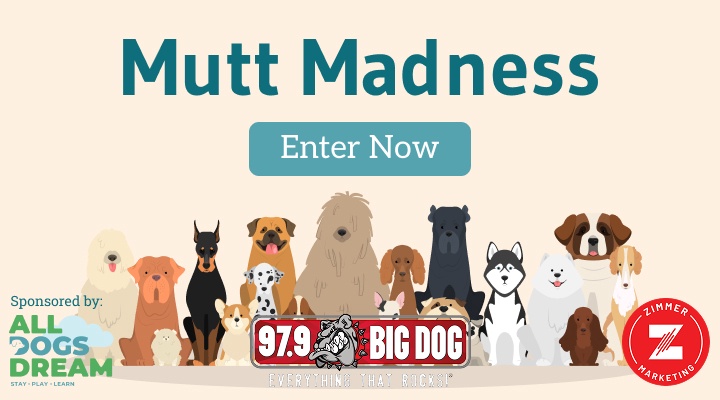Enter Mutt Madness!