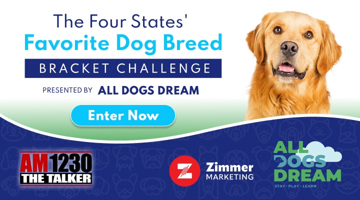Four States' Favorite Dog Breed