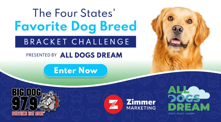 Four States' Favorite Dog Breed