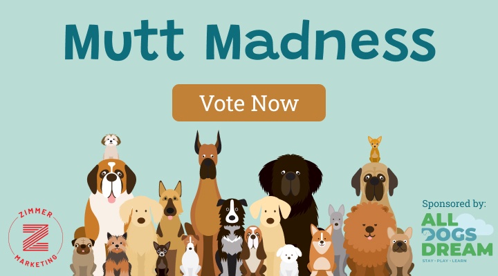 Vote for the Best Mutt!