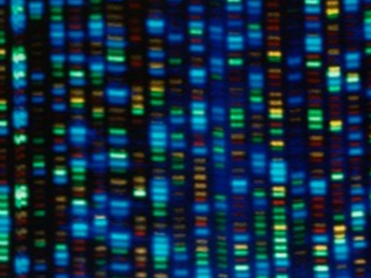 Salina, Kansas man sentenced to life in prison