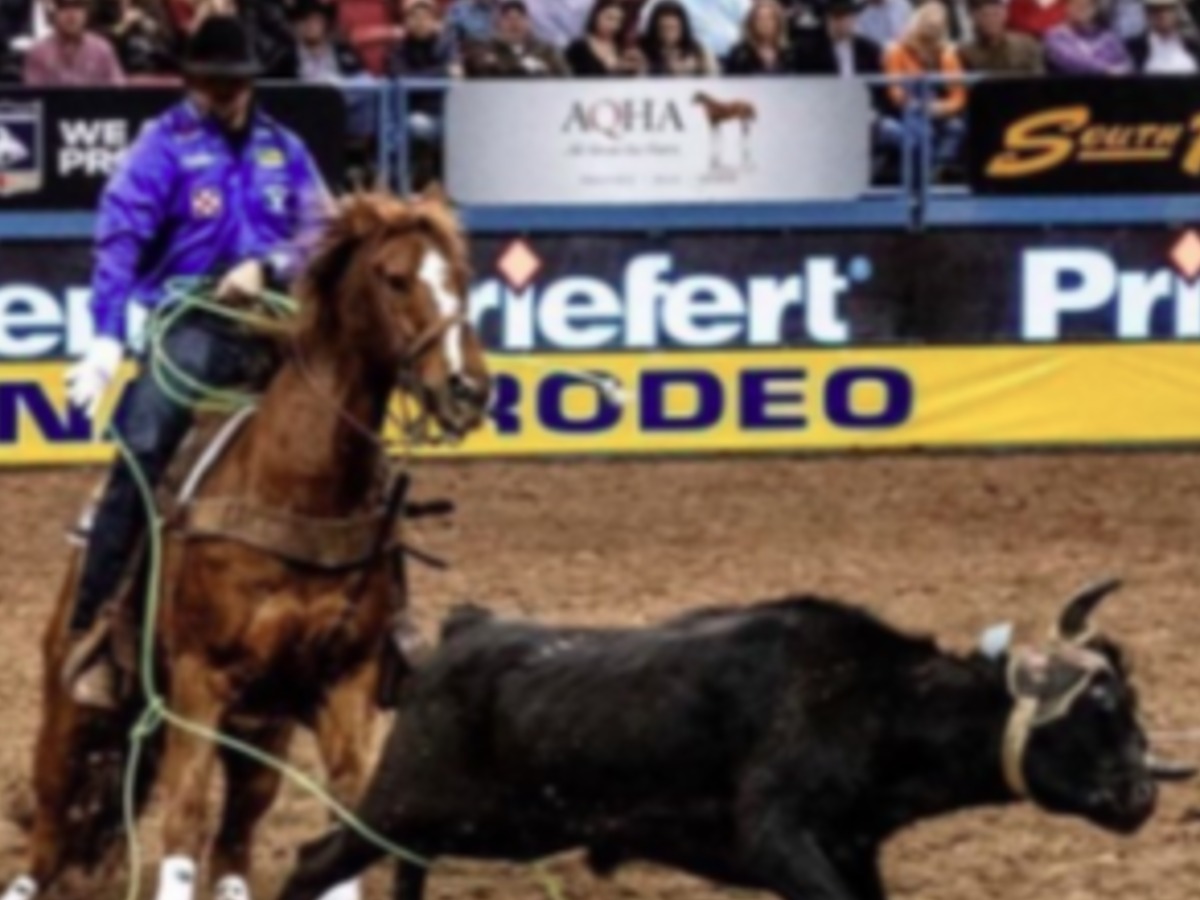 Rodeo dreams begin at NEO in Miami