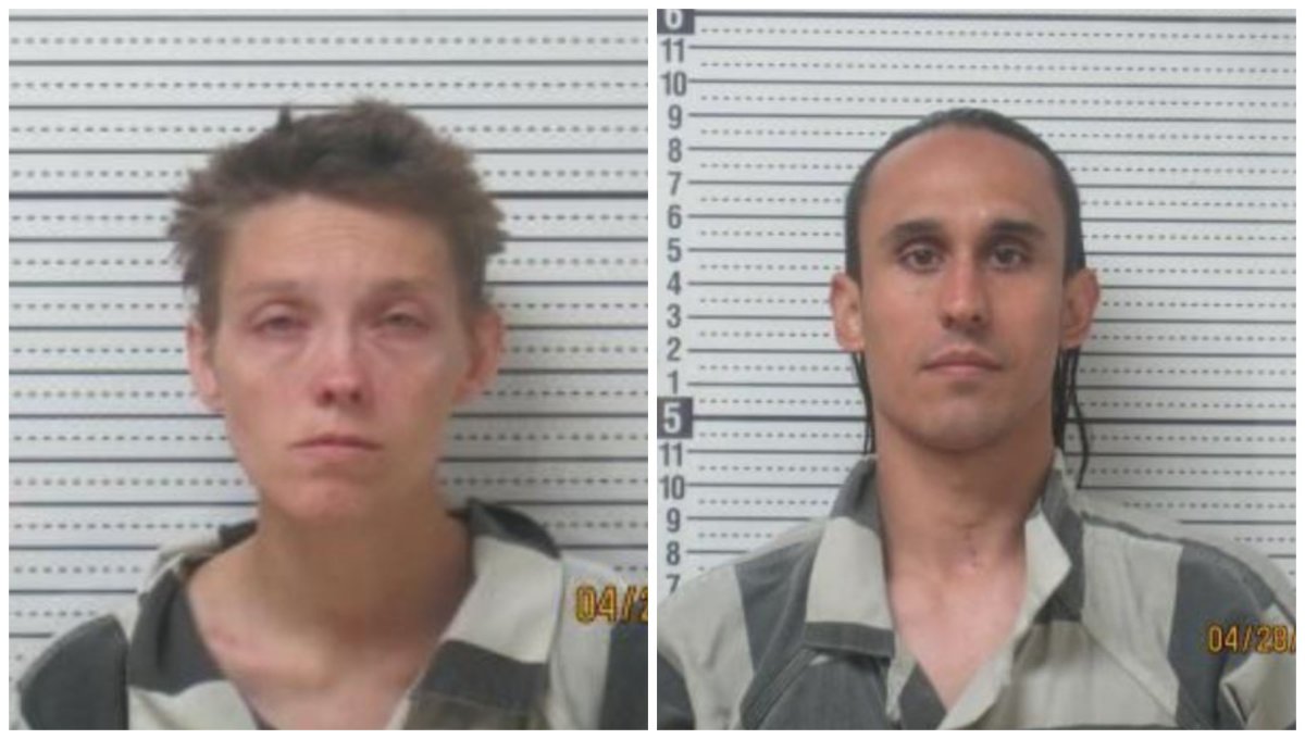 Two arrested for animal cruelty after 70+ animals found mistreated ...