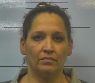 Woman arrested after showing bag of meth on recorded online jail visit ...