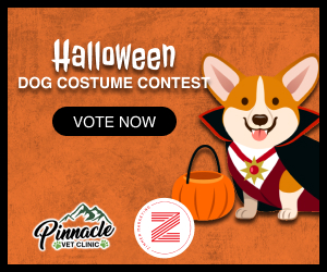 Halloween Dog Costume Contest - VOTE - KJMK