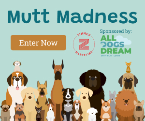 Enter Mutt Madness