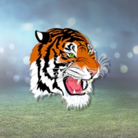 Carthage Tigers Drop Pair of Duals on the Road