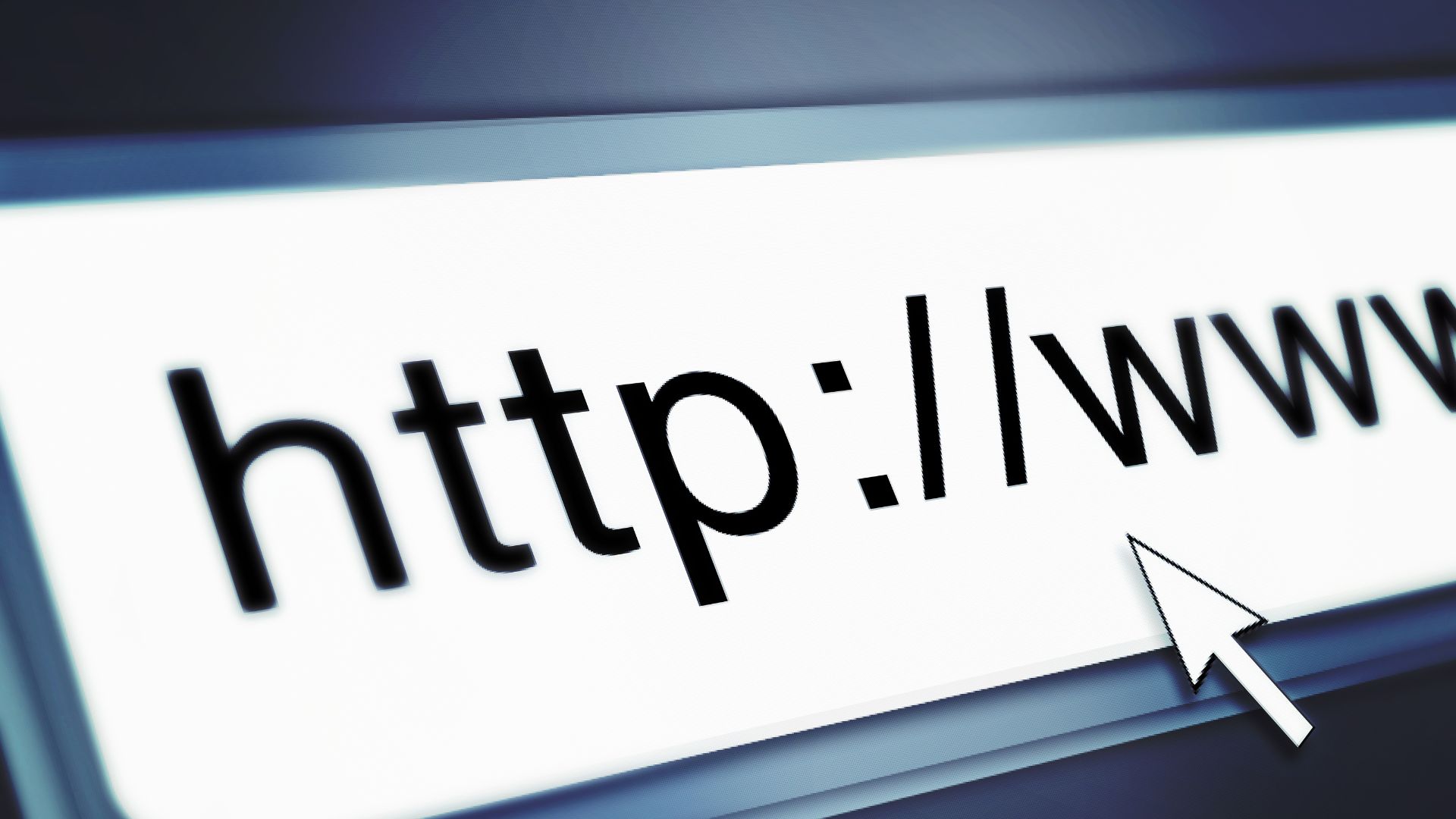 What is a Backline Profile: A Crucial SEO Component