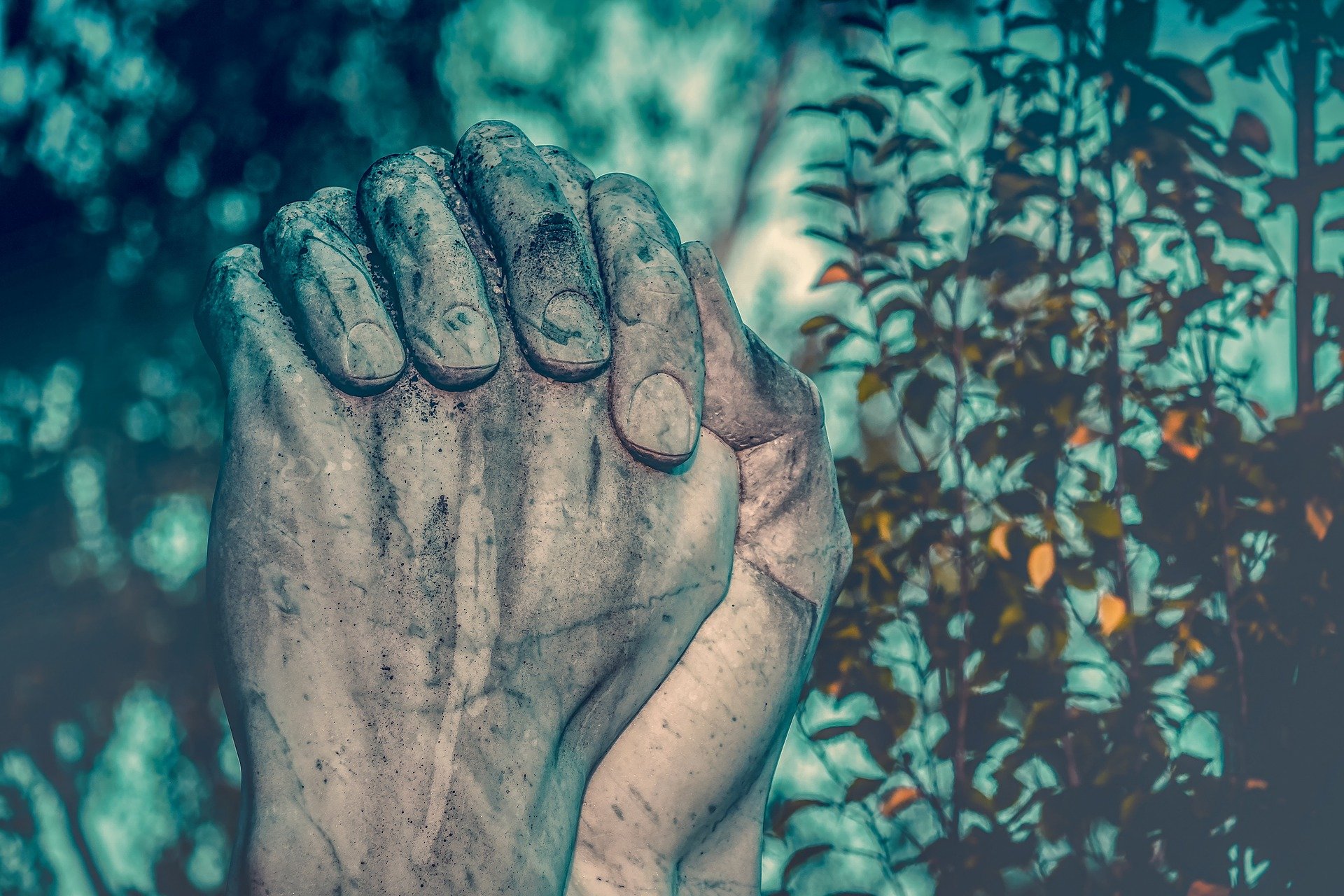 Partnering in Hope