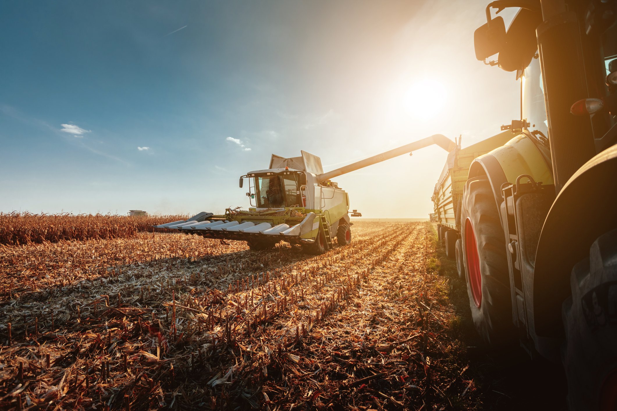 Going Digital: 5 Ways to Reach Tractor Supply Customers Online