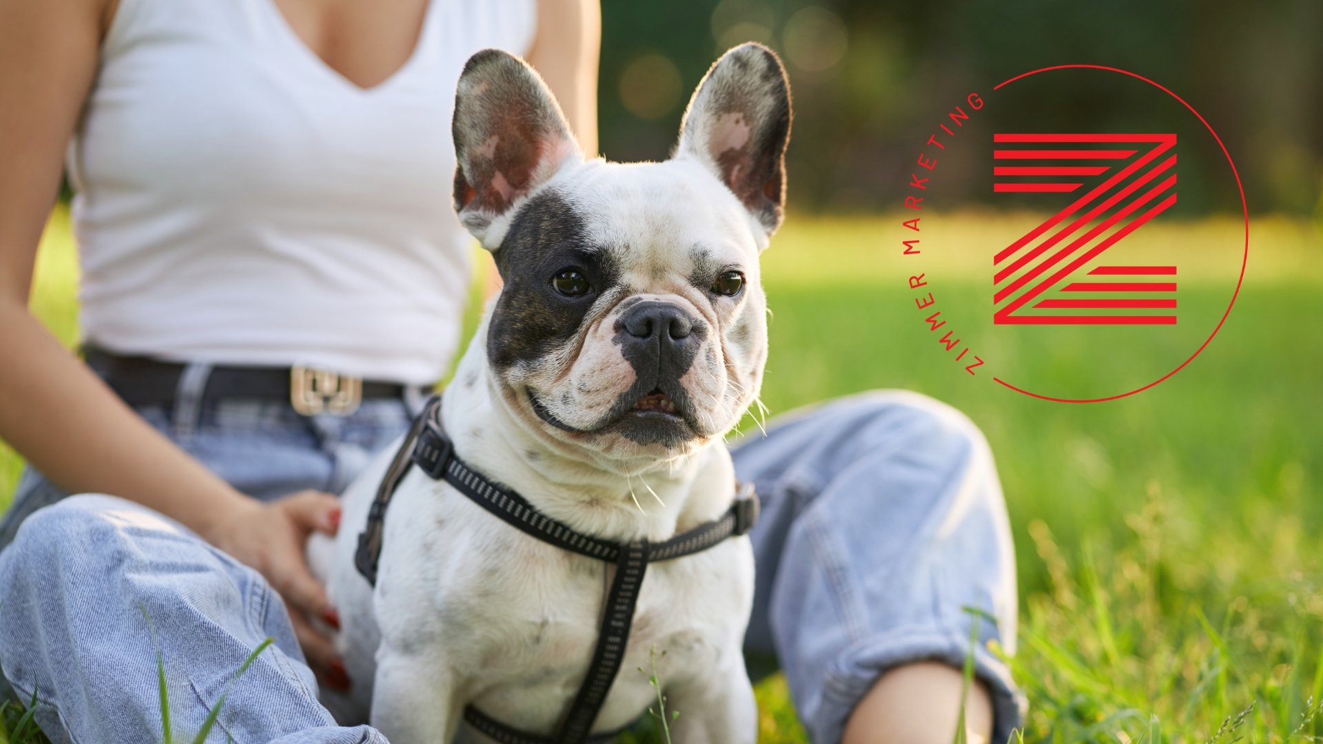 Case Study: Dogwood Hills French Bulldogs Website