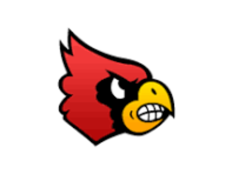 Webb City baseball ready to Platte County in quarterfinals