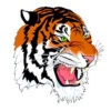 Carthage Tigers